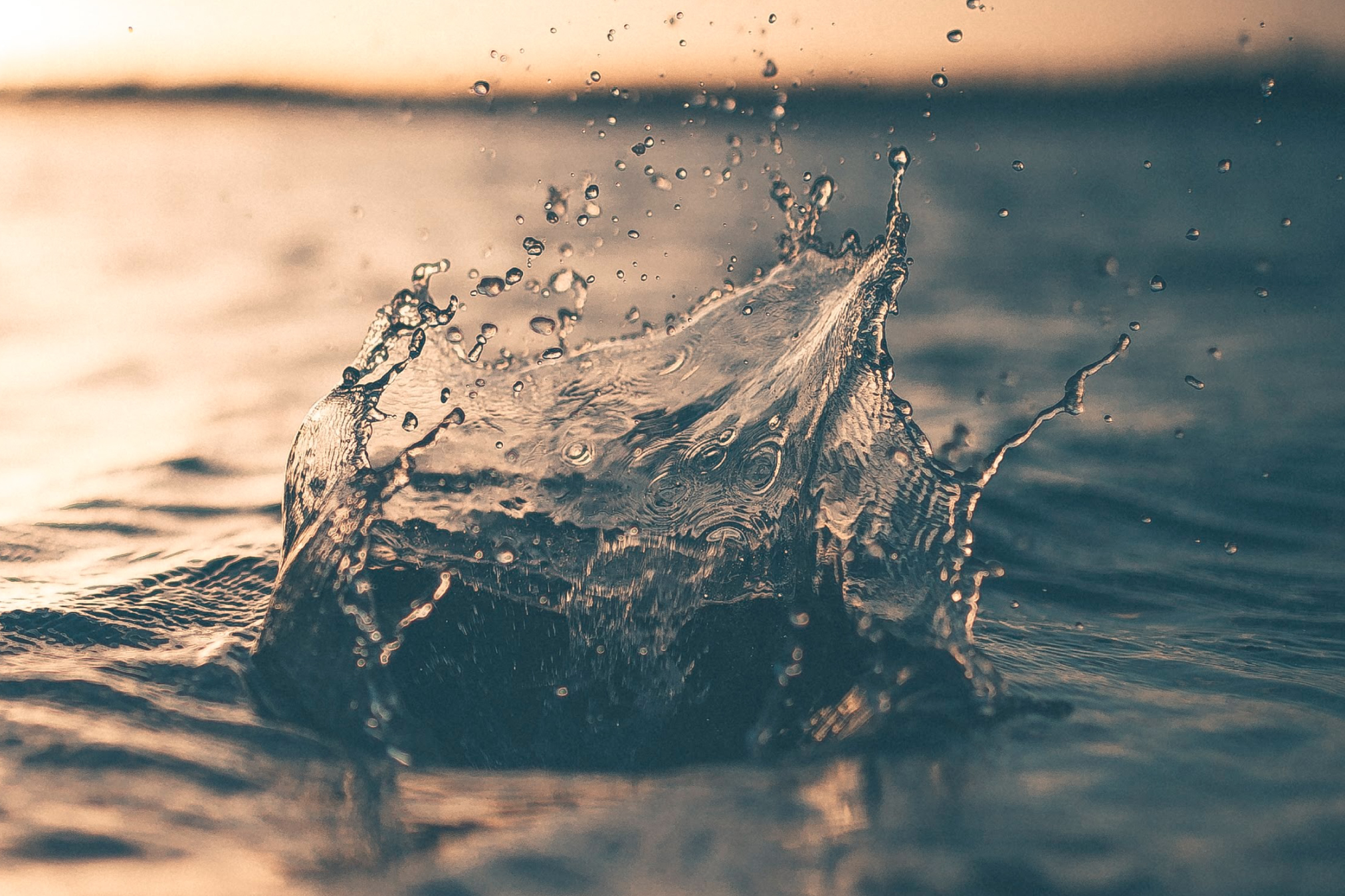 Imagen genérica para ilustrar la entrada del blog: Acción por el agua